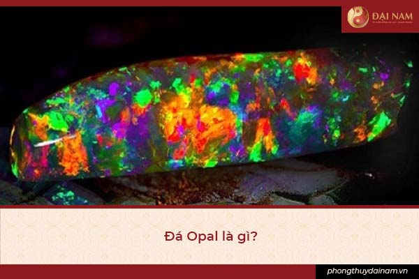 1 da opal la gi